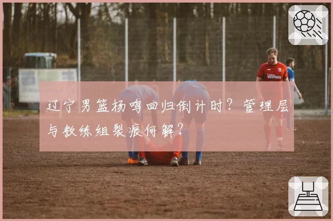 辽宁男篮杨鸣回归倒计时?管理层与教练组裂痕何解?
